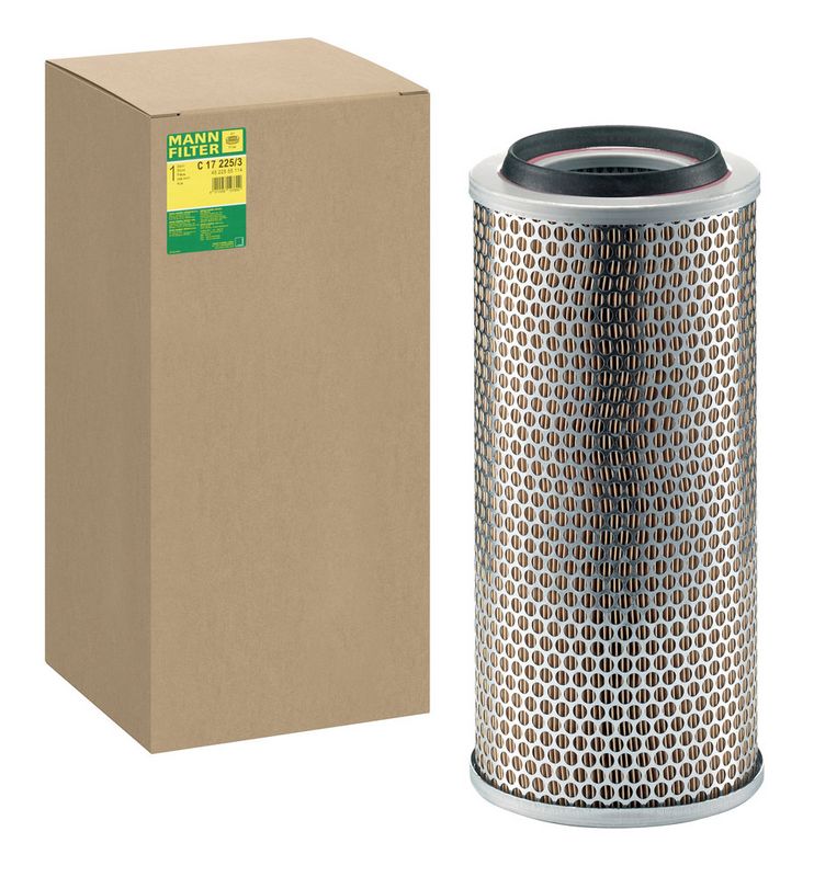 MANN-FILTER Gaisa filtrs C172253