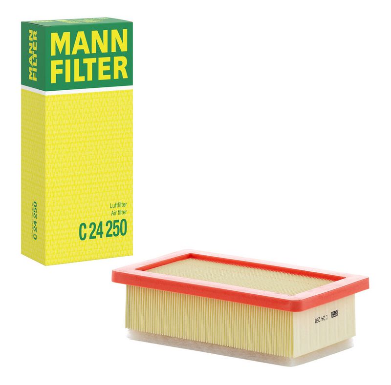 MANN Gaisa filtrs C24250