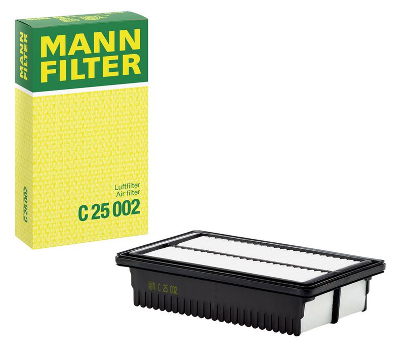 MANN Gaisa filtrs C25002