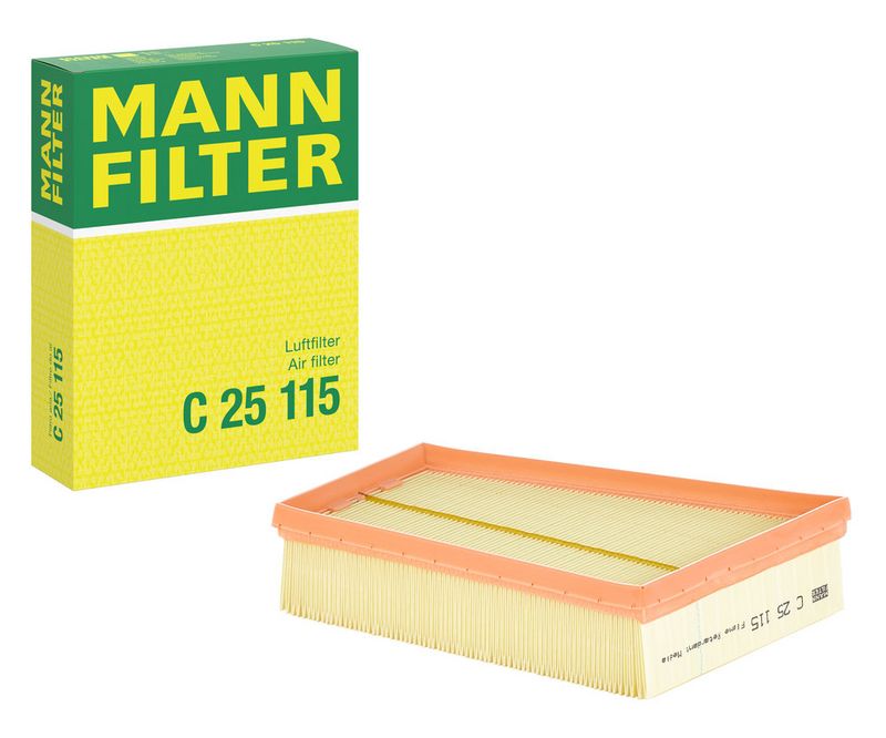 MANN Gaisa filtrs C25115