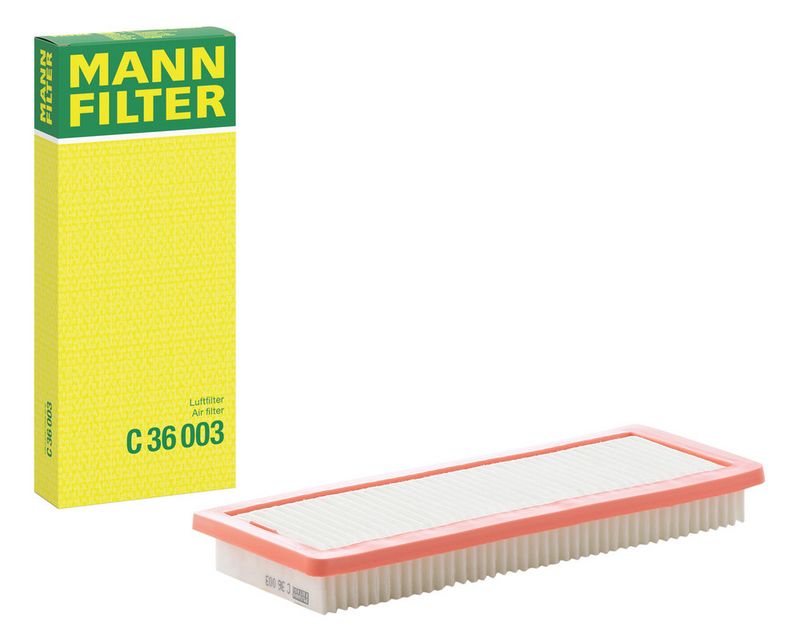 MANN Gaisa filtrs C36003