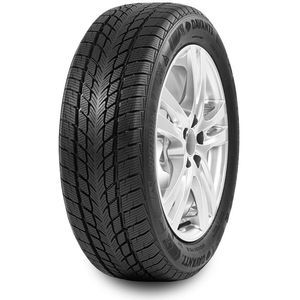 Davanti Wintoura 215/60 R16 99H