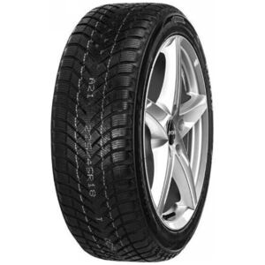 Apollo Altrust Winter 225/55 R17 109T