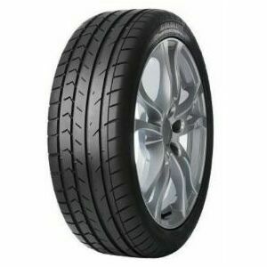 GOLDLINE IGL910 225/55 R17 101W