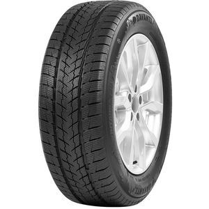 DAVANTI Wintoura SUV 215/65 R16 98H